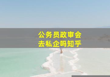 公务员政审会去私企吗知乎