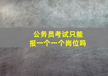 公务员考试只能报一个一个岗位吗