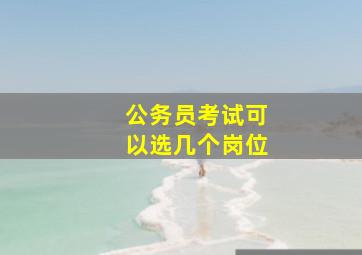 公务员考试可以选几个岗位