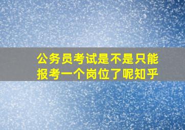 公务员考试是不是只能报考一个岗位了呢知乎