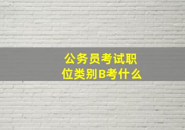 公务员考试职位类别B考什么