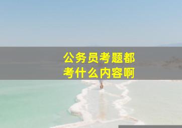 公务员考题都考什么内容啊