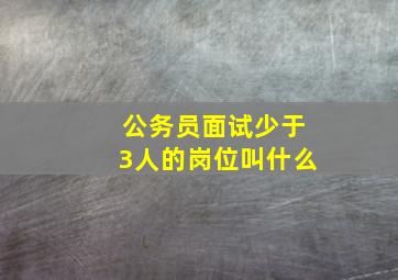 公务员面试少于3人的岗位叫什么