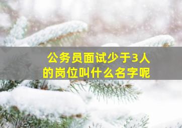 公务员面试少于3人的岗位叫什么名字呢