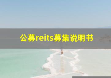 公募reits募集说明书