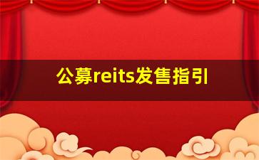 公募reits发售指引