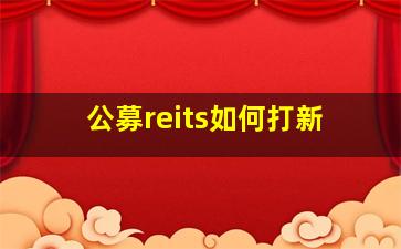 公募reits如何打新