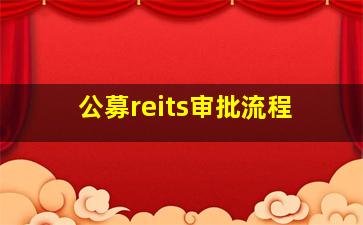 公募reits审批流程