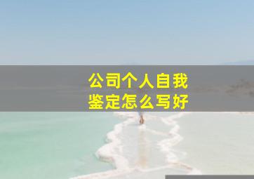 公司个人自我鉴定怎么写好