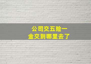 公司交五险一金交到哪里去了