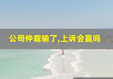 公司仲裁输了,上诉会赢吗