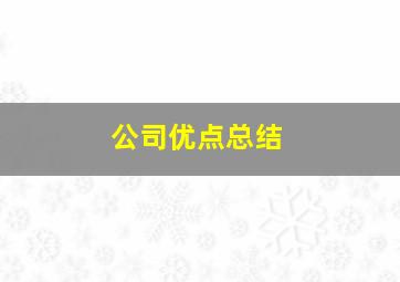 公司优点总结