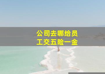 公司去哪给员工交五险一金