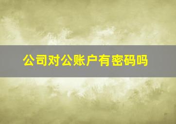 公司对公账户有密码吗