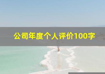 公司年度个人评价100字