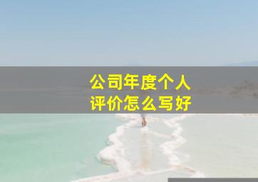 公司年度个人评价怎么写好