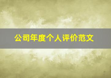 公司年度个人评价范文