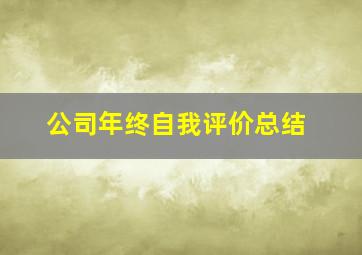 公司年终自我评价总结