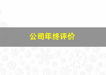 公司年终评价