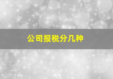 公司报税分几种