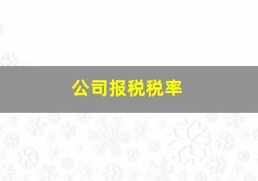 公司报税税率