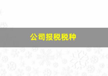 公司报税税种