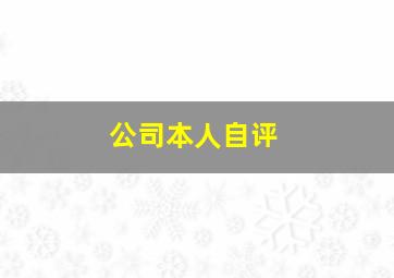 公司本人自评