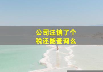 公司注销了个税还能查询么