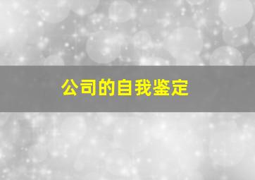 公司的自我鉴定