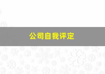 公司自我评定