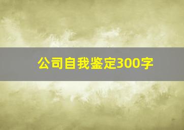 公司自我鉴定300字