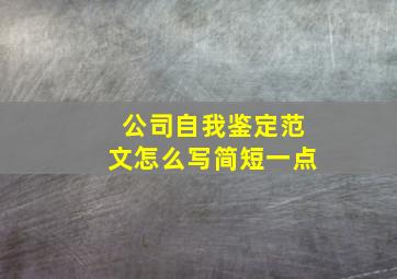 公司自我鉴定范文怎么写简短一点