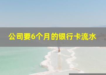 公司要6个月的银行卡流水