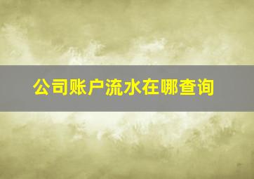 公司账户流水在哪查询