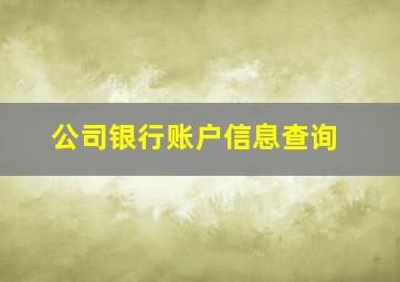 公司银行账户信息查询