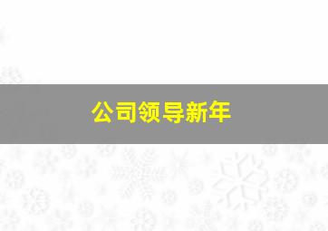 公司领导新年