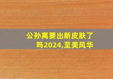 公孙离要出新皮肤了吗2024,至美风华