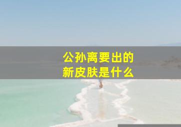 公孙离要出的新皮肤是什么