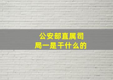 公安部直属司局一是干什么的