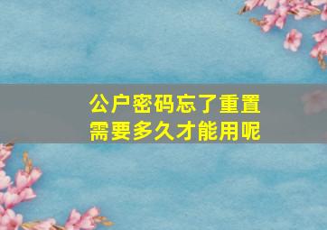 公户密码忘了重置需要多久才能用呢