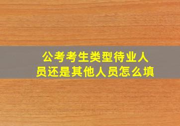 公考考生类型待业人员还是其他人员怎么填