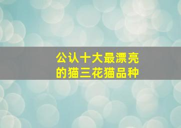 公认十大最漂亮的猫三花猫品种