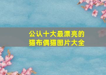 公认十大最漂亮的猫布偶猫图片大全