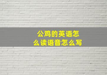 公鸡的英语怎么读语音怎么写