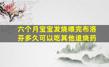 六个月宝宝发烧喂完布洛芬多久可以吃其他退烧药