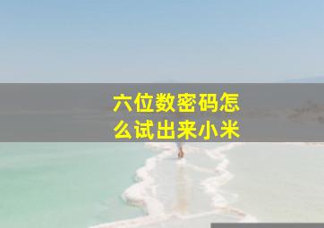 六位数密码怎么试出来小米