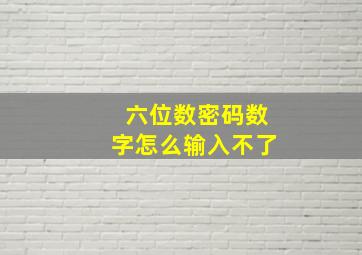 六位数密码数字怎么输入不了