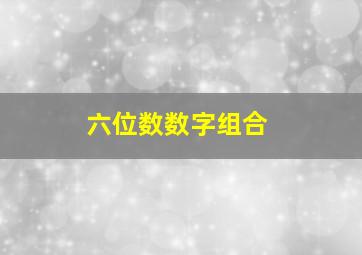 六位数数字组合