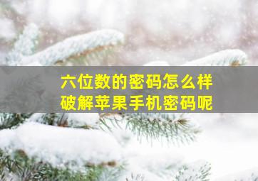 六位数的密码怎么样破解苹果手机密码呢