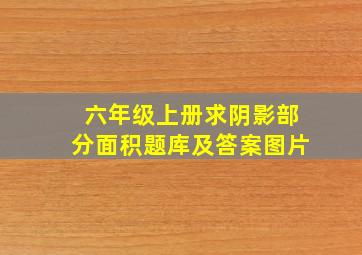 六年级上册求阴影部分面积题库及答案图片